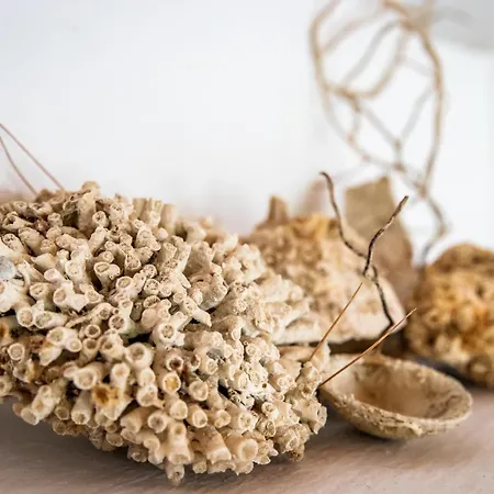 Holiday home Anemoperasma House