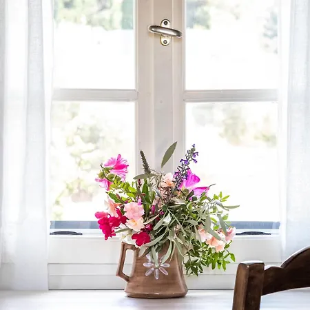 Anemoperasma - Peaceful In An Olive Grove Сasa de vacaciones Stafylos