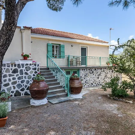 Anemoperasma - Peaceful In An Olive Grove