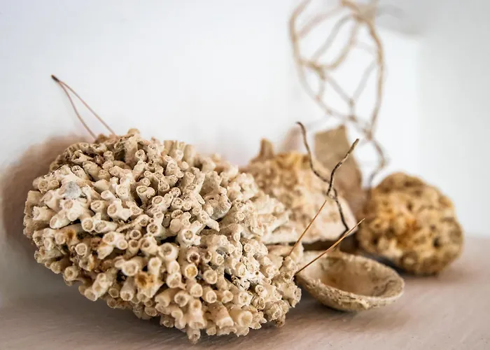 Case de vacanță Anemoperasma - Peaceful In An Olive Grove